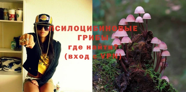 круглые Магас