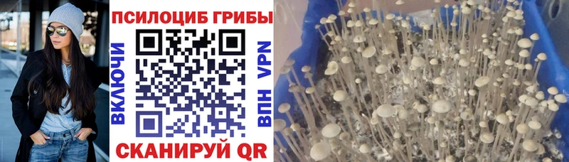 Галлюциногенные грибы GOLDEN TEACHER Туран